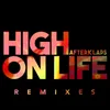 High On Life Will Berg Remix