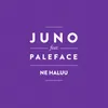 About Ne haluu (feat. Paleface) Song