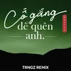 About Cố Gắng Để Quên Anh (Trngz Remix) Song