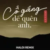 About Cố Gắng Để Quên Anh (Haloi Remix) Song