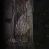 Mottled Owl