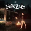 About Beerpong Song