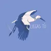 About Llegas Tú Song