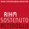 About Rihm: Sostenuto Song