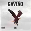 About Gavião Song