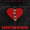 About Sentimiento (feat. Izzy) Song