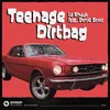 About Teenage Dirtbag (feat. Bertie Scott) Song