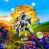 About LSD Song
