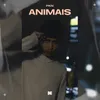 About Animais Song