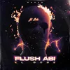 About Flush Abi Song