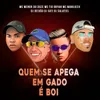 About Quem Se Apega em Gado é Boi Song