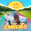 Cuenta Conmigo (feat. Mozart La Para)