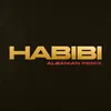 About Habibi Albanian Remix Song