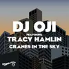 About Cranes In The Sky (feat. Tracy Hamlin) Song