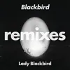 Blackbird Foremost Poets Remix