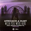 Wish You Were Here (feat. Brandyn Burnette) Dave Summit & CastNowski Remix