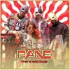 About Pane Song