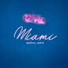 About Miami Song