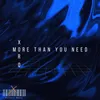 About More Than You Need Song