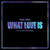 About What Love Is (feat. Salena Mastroianni) Song