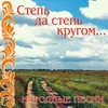 About Vdol' po Piterskoy Song