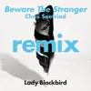 Beware The Stranger (Chris Seefried's Ambient Excursion) [feat. Trombone Shorty] Radio Edit