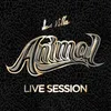 About Animal Live Session Song