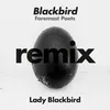 Blackbird Foremost Poets Remix