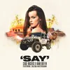 About Say (feat. Salena Mastroianni) Song