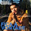 About Fica à vontade Song