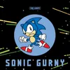 About Sonic Gurny Song