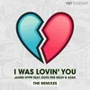 I Was Lovin' You (feat. Dots Per Inch & Ayak) [Extended Mix ]