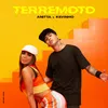 About Terremoto Song