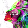 About Domino (feat. Brooke Alexx) Song
