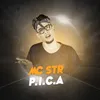 About P.I.C.A Song