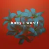 About Baby I Won't Song