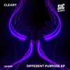 Different Purpose (Club Mix)