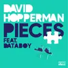 About Pieces (feat. DATABOY) Song