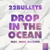 About Drop In The Ocean (feat. Hero Baldwin) Song