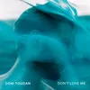 About Don't Love Me Song