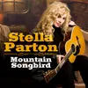 About Mountain Songbird (Radio Edit) Song