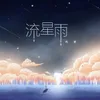 About 流星雨 Song