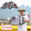 About La Cumbia de la Toxica Song