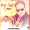 About Tere Naal Pyaar Song