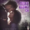 Tere Kadma Ch (feat. Unique Star)