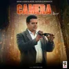 About Camera Song