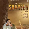 About Shareek Song