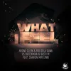 What I Feel (feat. Sharon May Linn) German Radio Edit