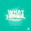 What I Feel (feat. Sharon May Linn) Addict DJs Remix