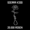 20.000 Rosen Radio Edit